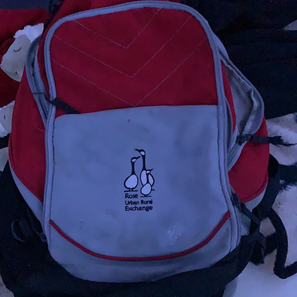 Red and grey school back pack